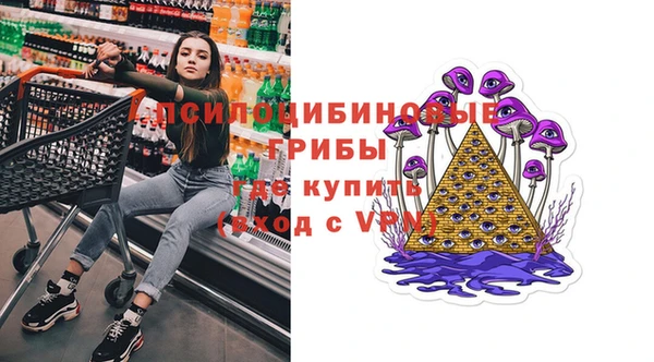 a pvp Рославль