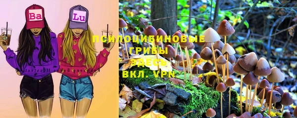 стаф Россошь