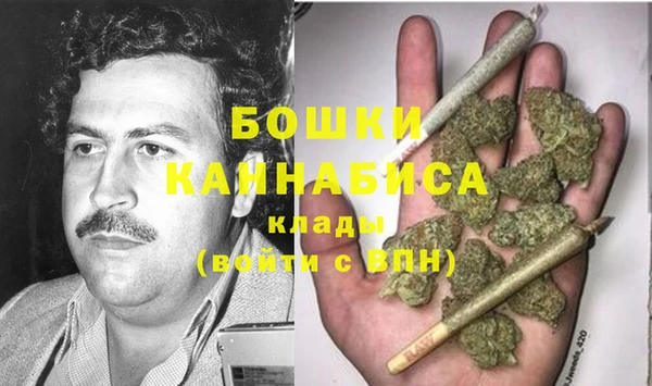стаф Россошь