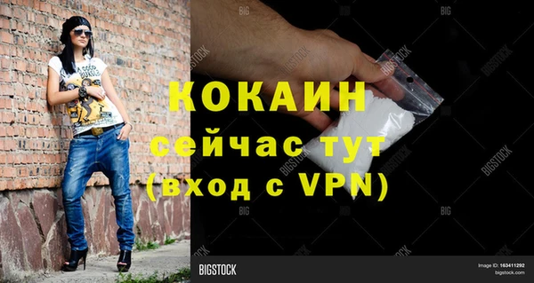 стаф Россошь