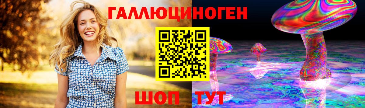 Галлюциногенные грибы Psilocybine cubensis  Балашов 