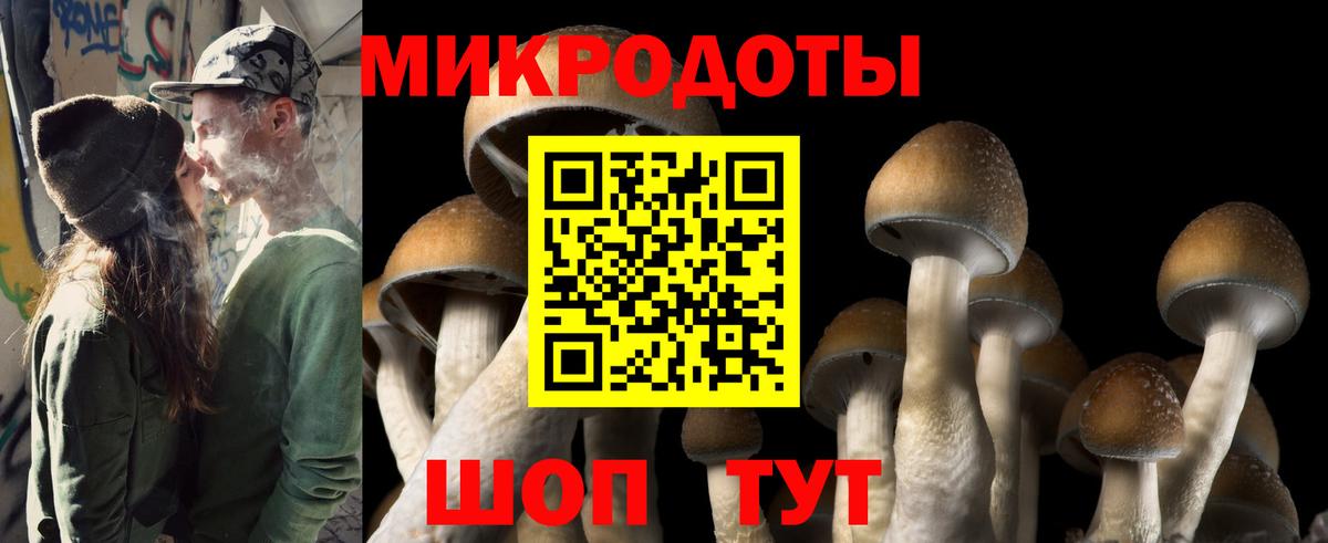 Псилоцибиновые грибы Magic Shrooms  Галлюциногенные грибы Cubensis  Вход с VPN  Балашов 