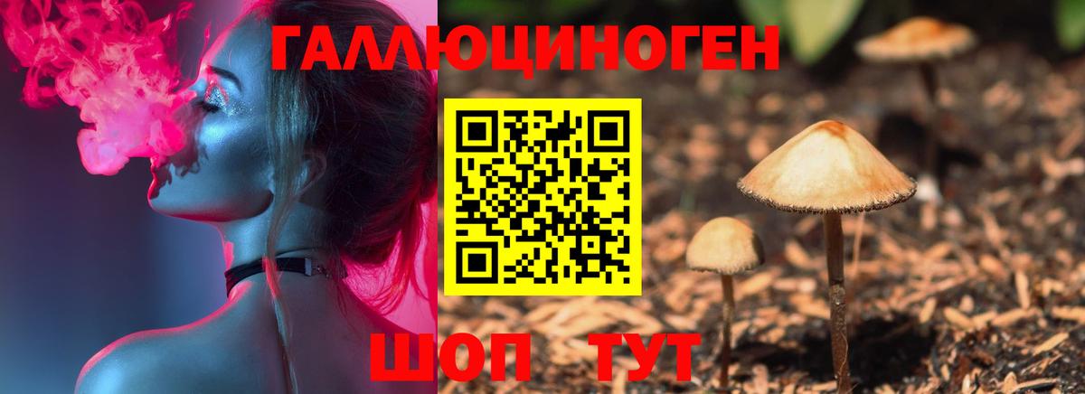 Галлюциногенные грибы Psilocybine cubensis Балашов