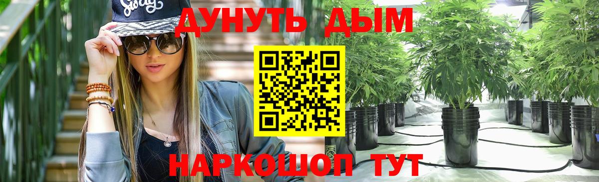 Псилоцибиновые грибы Балашов